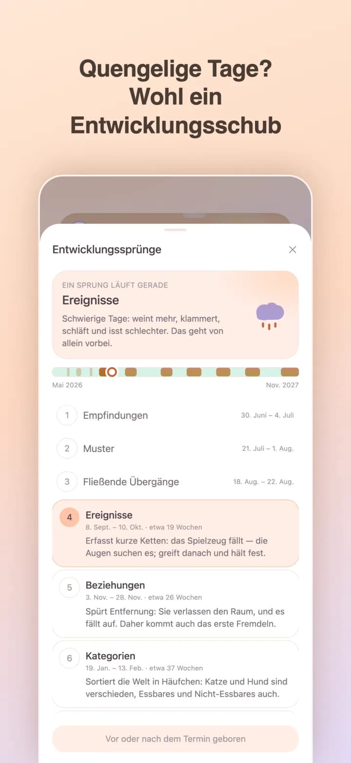 Entwicklungsschübe