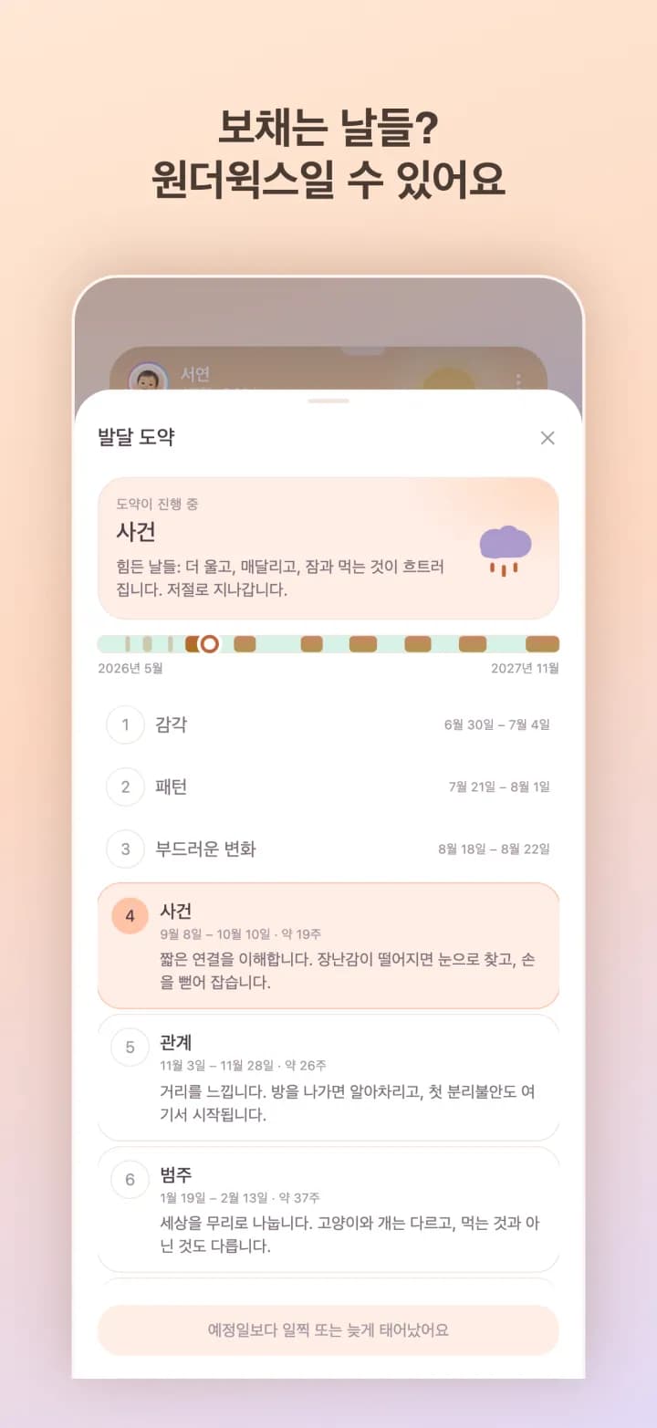 발달 도약기
